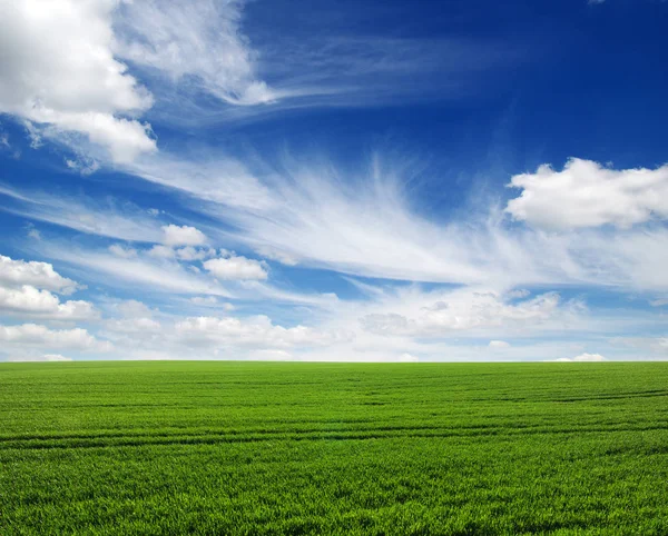 Campo e cielo — Foto Stock