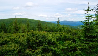 Yazın dağ manzarası