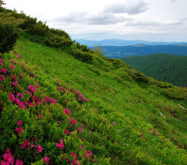 Mountain landscape in summer — Stock Photo, Image