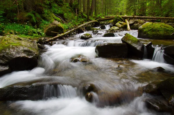 山区河流在绿色森林 — 图库照片