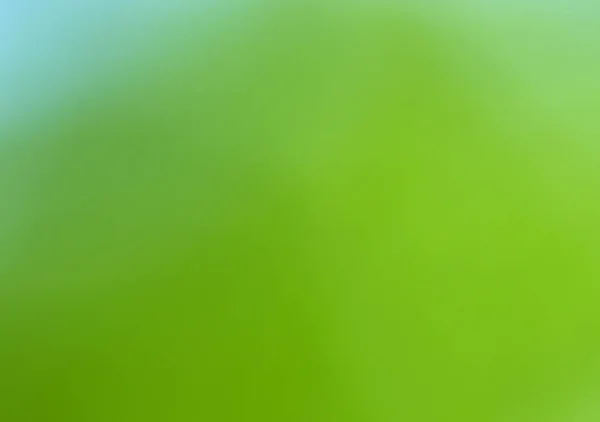 Groene onscherpe achtergrond — Stockfoto