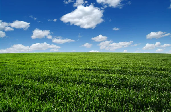 Campo y cielo —  Fotos de Stock