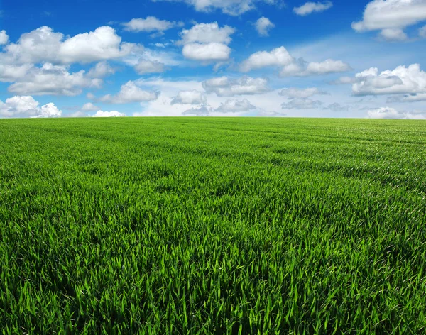 Campo y cielo —  Fotos de Stock