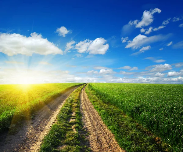 Road in veld en de blauwe hemel — Stockfoto