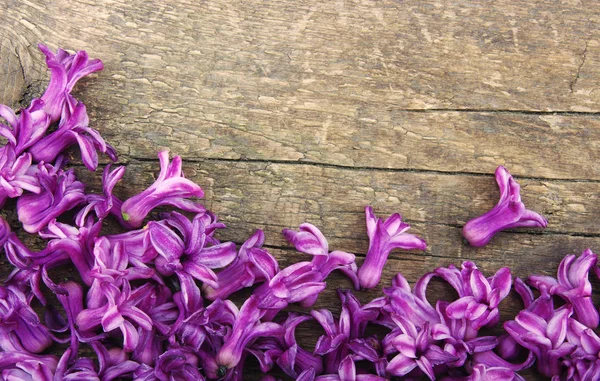 Flores de primavera em madeira — Fotografia de Stock