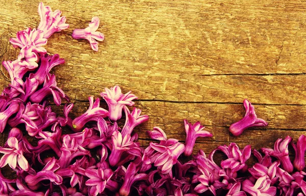 Flores de primavera em madeira — Fotografia de Stock