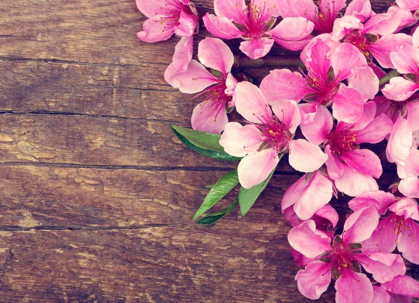 Ahşap üzerine bahar çiçekleri — Stok fotoğraf