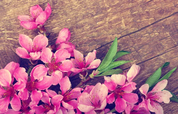 Frühlingsblüten auf Holz — Stockfoto