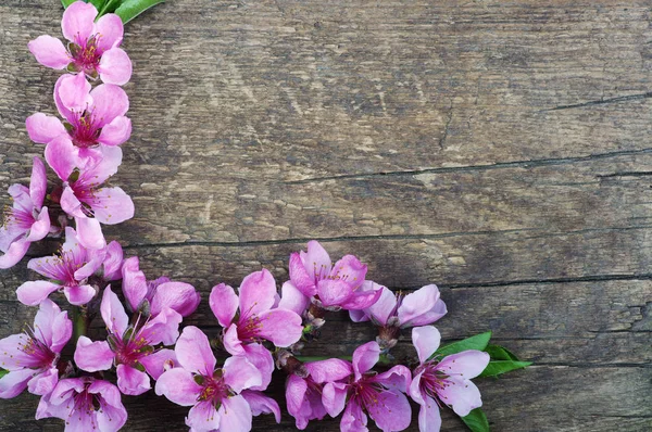 Flores de primavera sobre madera —  Fotos de Stock