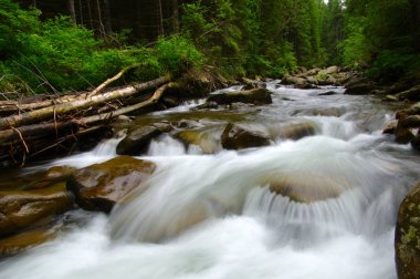 ormandaki nehir dağ 