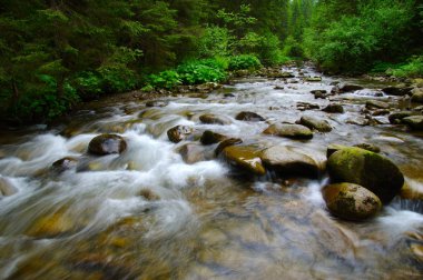 ormandaki nehir dağ 