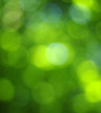 Yeşil bokeh arka plan 