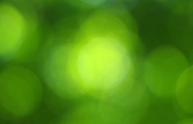 Yeşil bokeh arka plan 