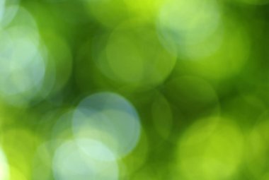 Yeşil bokeh arka plan 