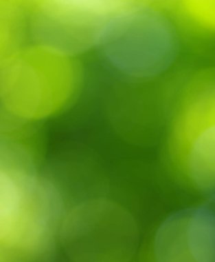 Yeşil bokeh arka plan 
