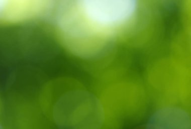 Yeşil bokeh arka plan 