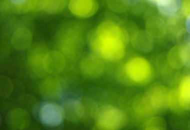 Yeşil bokeh arka plan 