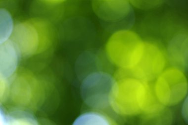 Yeşil bokeh arka plan 