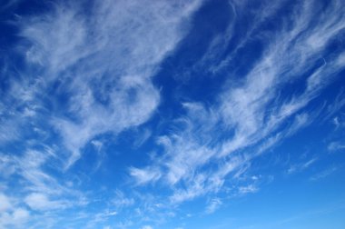 Fırçalanmış çelik plat 