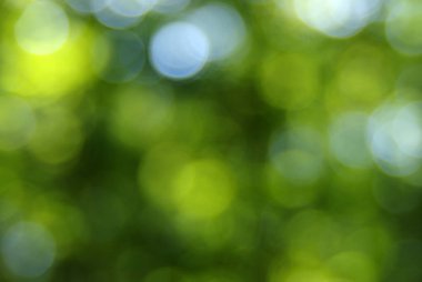 Yeşil bokeh arka plan 