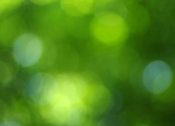 Зелений Боке фону — стокове фото