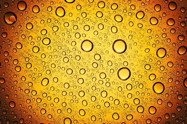 ビールの背景に滴 — ストック写真