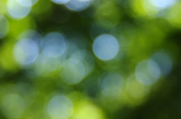 Zelené bokeh pozadí — Stock fotografie