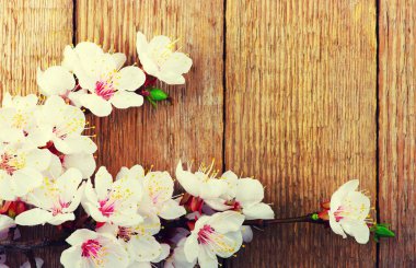 Ahşap üzerine bahar çiçekleri 