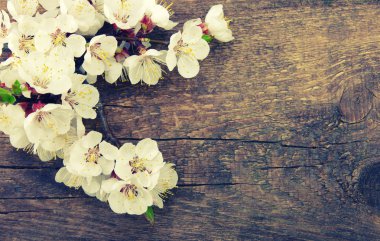 Ahşap üzerine bahar çiçekleri 