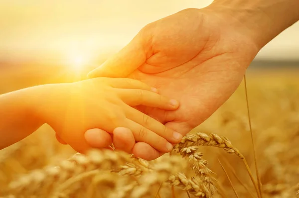 Hände von Vater und Tochter an der Sonne — Stockfoto