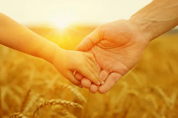 Hände von Vater und Tochter an der Sonne — Stockfoto