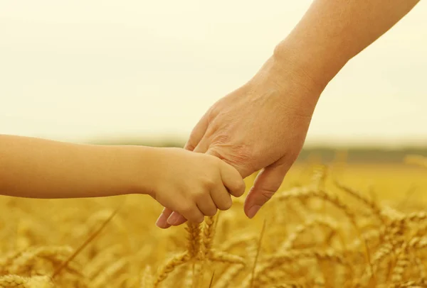 Hände von Mutter und Tochter — Stockfoto