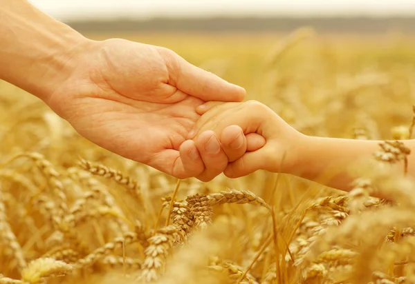 Mani di padre e figlia — Foto Stock