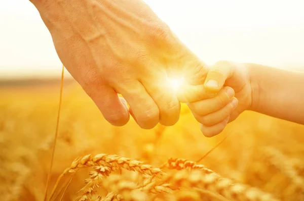 Руки матері і дочки на сонці — стокове фото