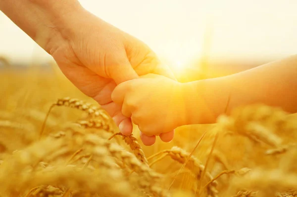 Hände von Mutter und Tochter in der Sonne — Stockfoto