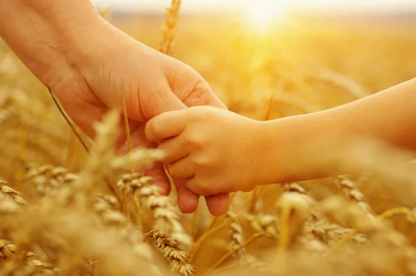 Hände von Mutter und Tochter in der Sonne — Stockfoto