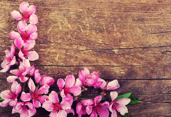 Flores de primavera em madeira — Fotografia de Stock