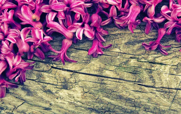 Flores de primavera sobre madera —  Fotos de Stock