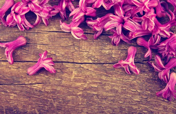 Flores de primavera sobre madera —  Fotos de Stock