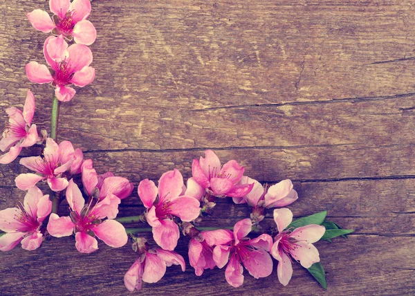 Frühlingsblüten auf Holz — Stockfoto