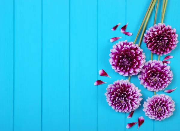 Bloemen op blauw geschilderde houten planken. — Stockfoto