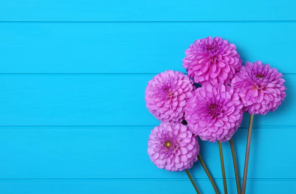 Flores sobre tablones de madera pintados de azul . — Foto de Stock