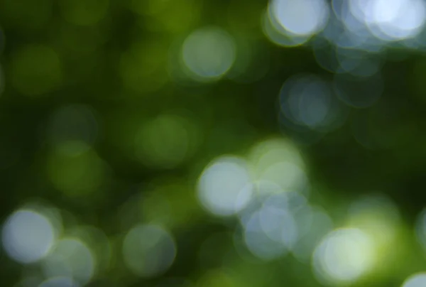 Stock image Green blurred background