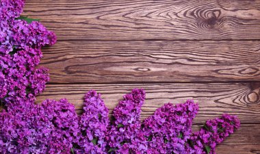 eski bir ahşap üzerine Eflatun çiçekler