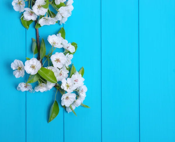 Fiori primaverili su legno — Foto Stock