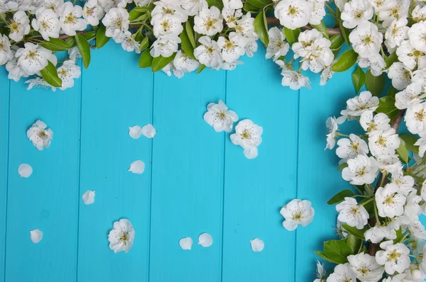 Fiore su sfondo di legno blu — Foto Stock