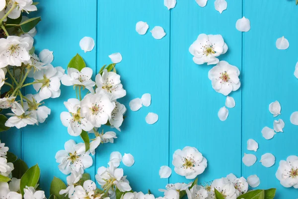 Spring flowers on wood — Stock Photo, Image