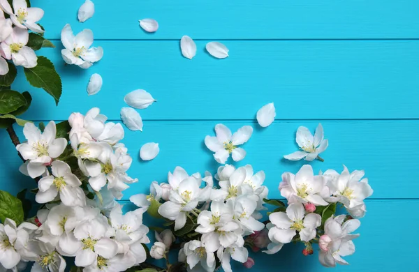 Primavera ramo de floração no fundo de madeira . — Fotografia de Stock