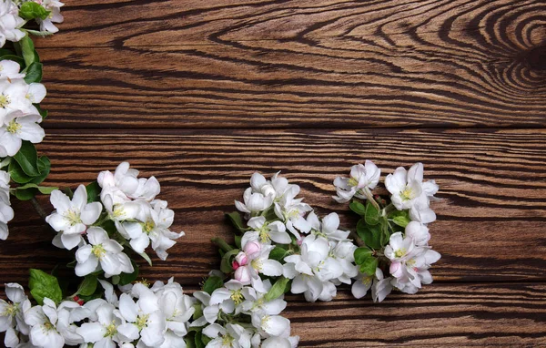 Fiori primaverili su legno — Foto Stock