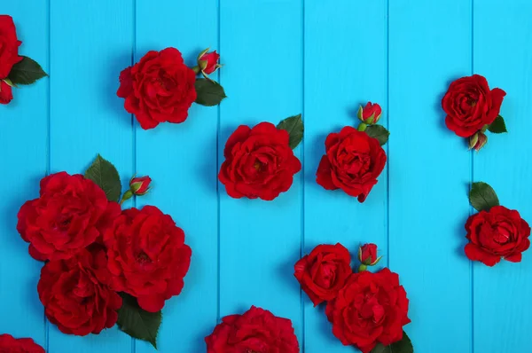 Rote Rosen Blumen auf blauem Holz. — Stockfoto